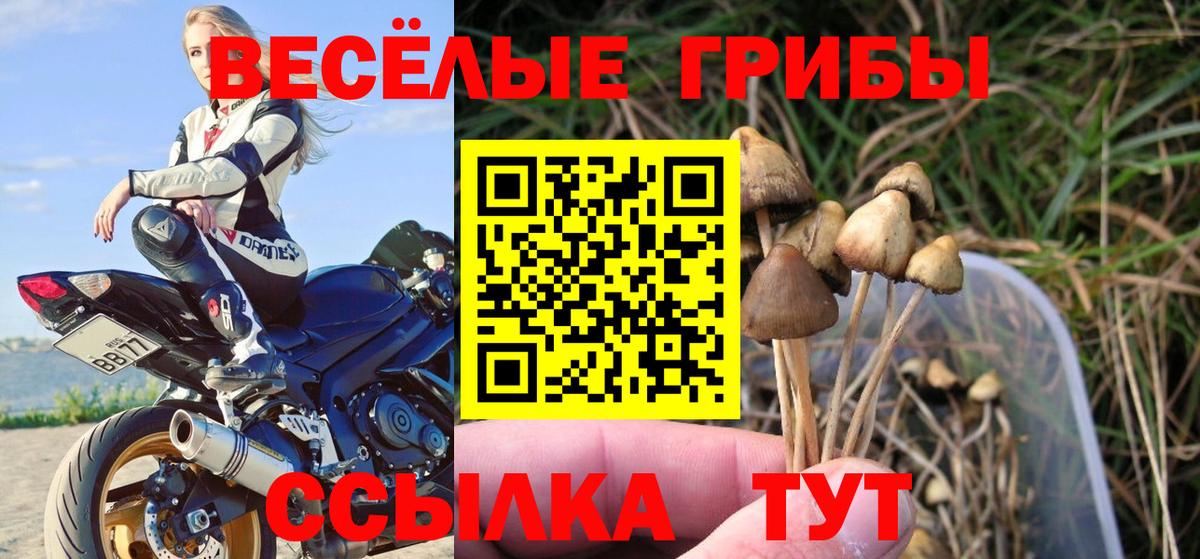 купить закладку  Вход с VPN  Саров  Псилоцибиновые грибы MAGIC MUSHROOMS 
